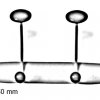 cuier metalic de perete ORIONE 4 DIM